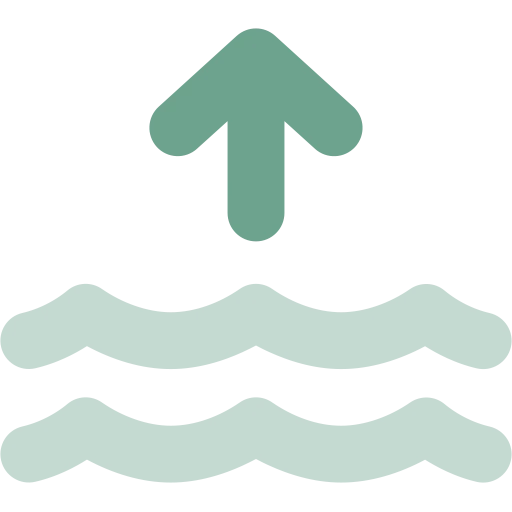 Water and Carbon Cycle